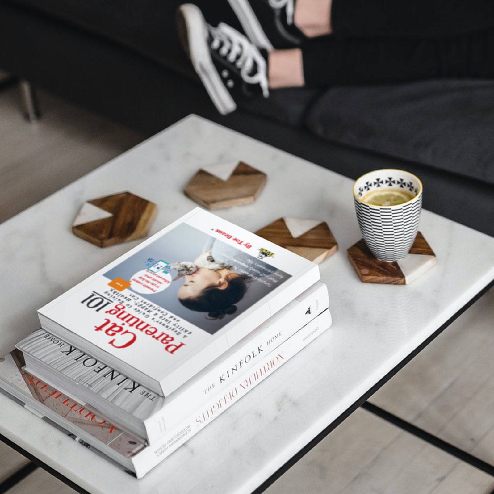 Cat Parenting 101 Cat Book by Toe Beans® on stack of books