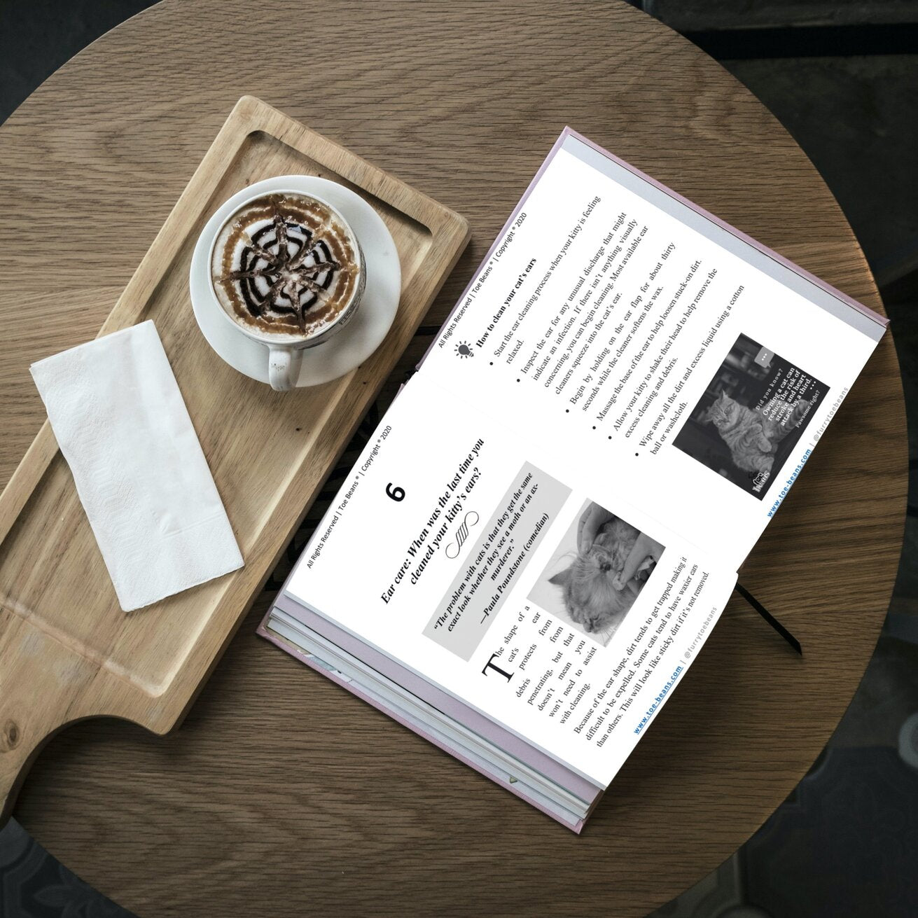 Cat grooming 101 Cat Book Sample Chapter by Toe Beans