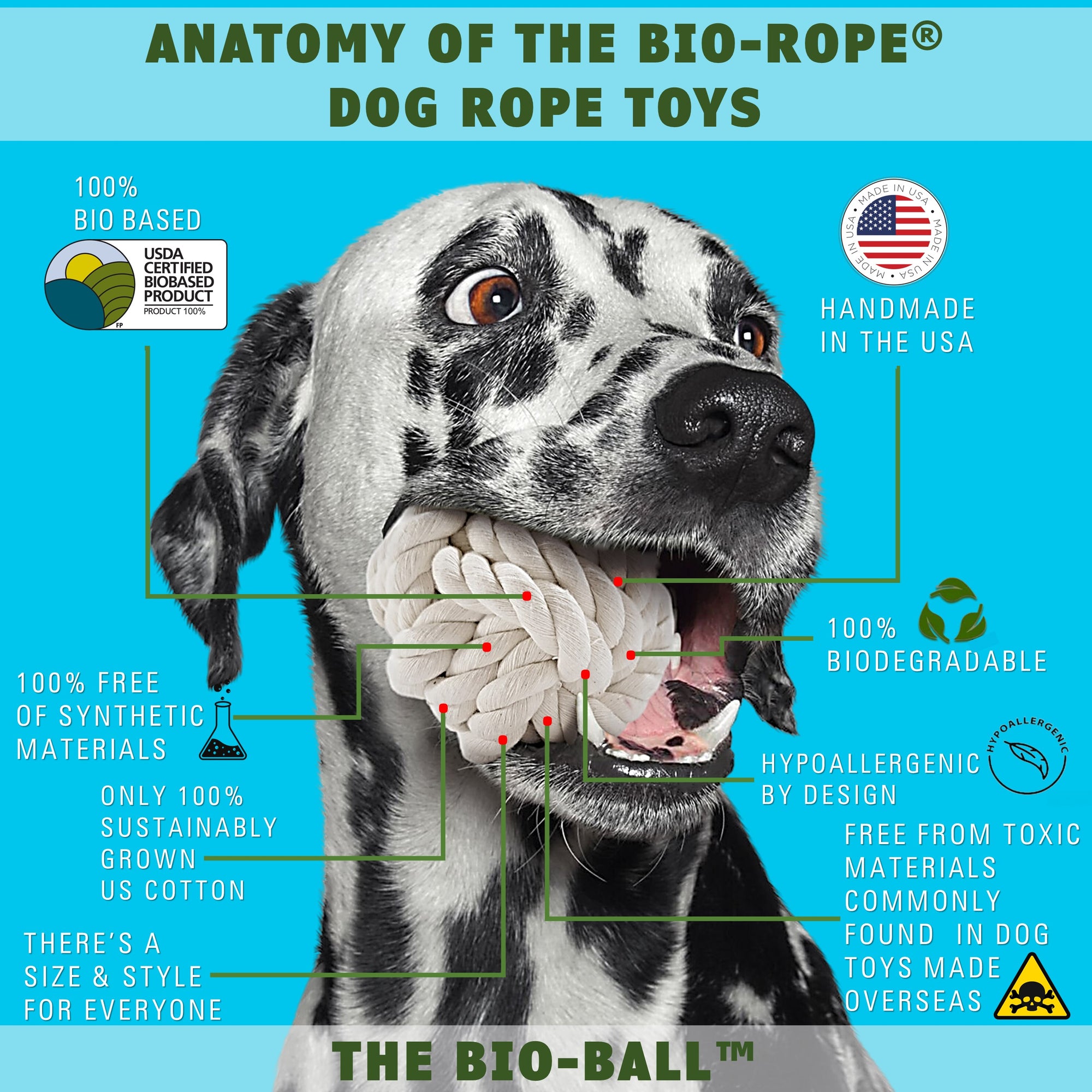 Dog balls the bio ball features by earthcare