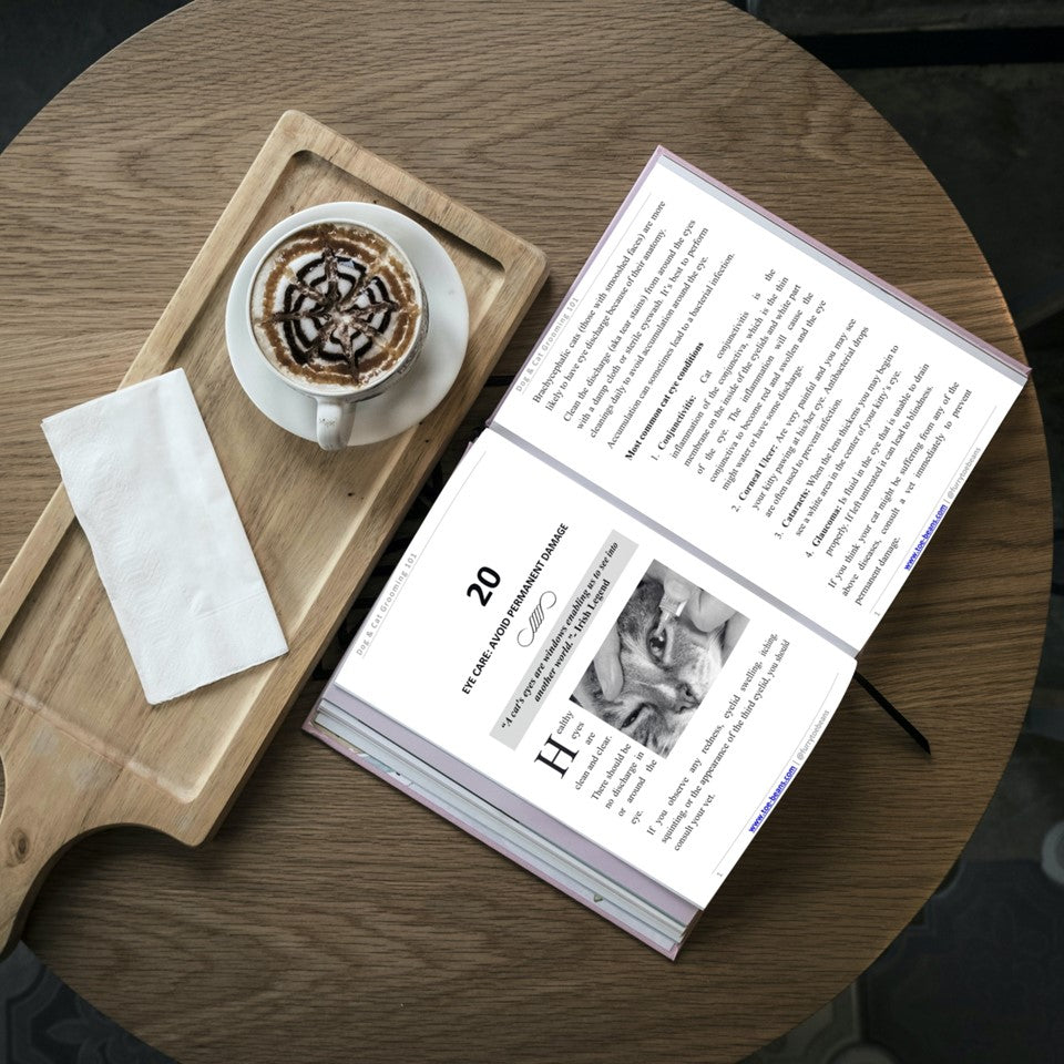 Dog and Cat Grooming 101 dog Book Sample Chapter by Toe Beans