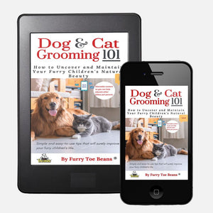 Dog and cat grooming 101 in eBook format by Toe Beans 