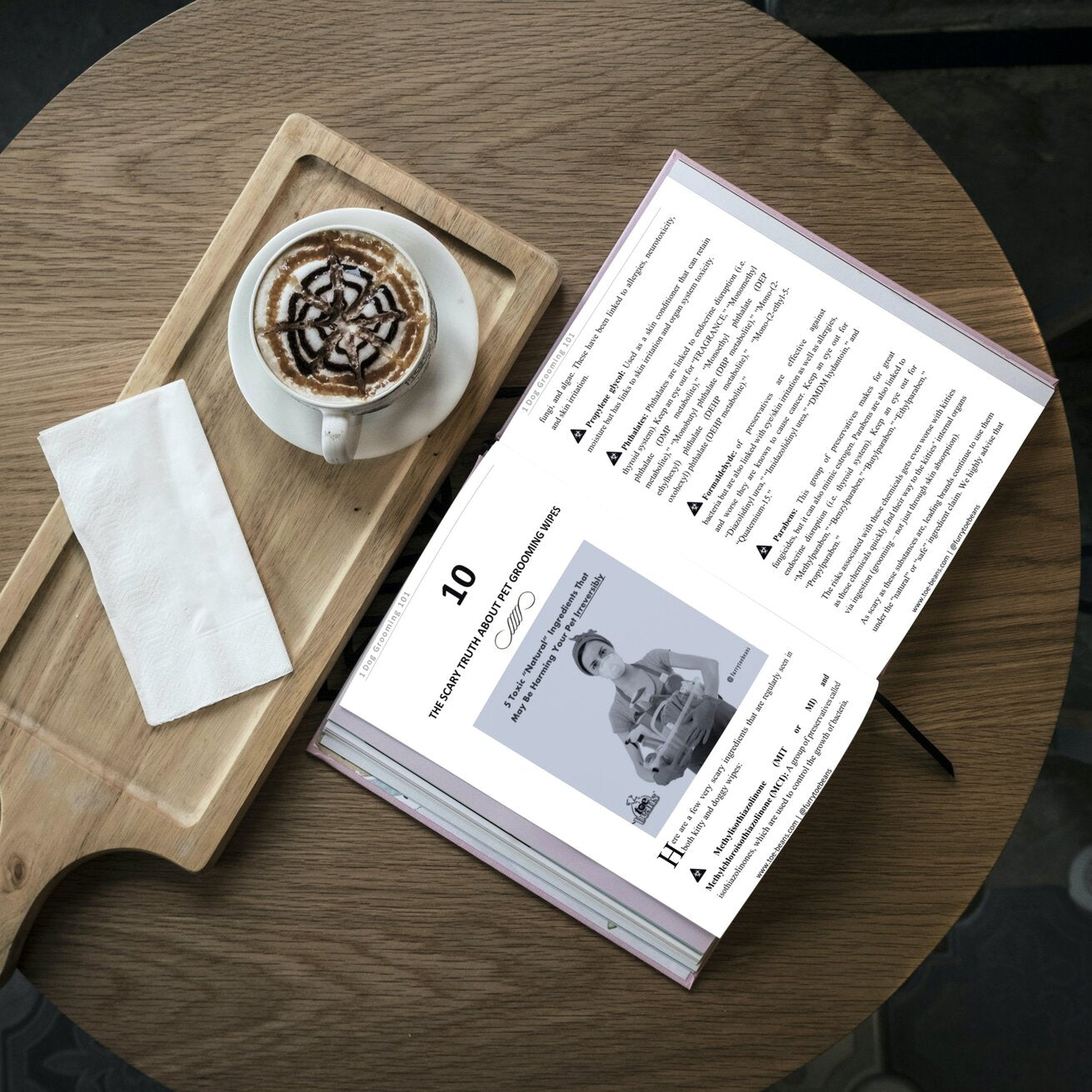 Dog Grooming 101 dog Book Sample Chapter by Toe Beans