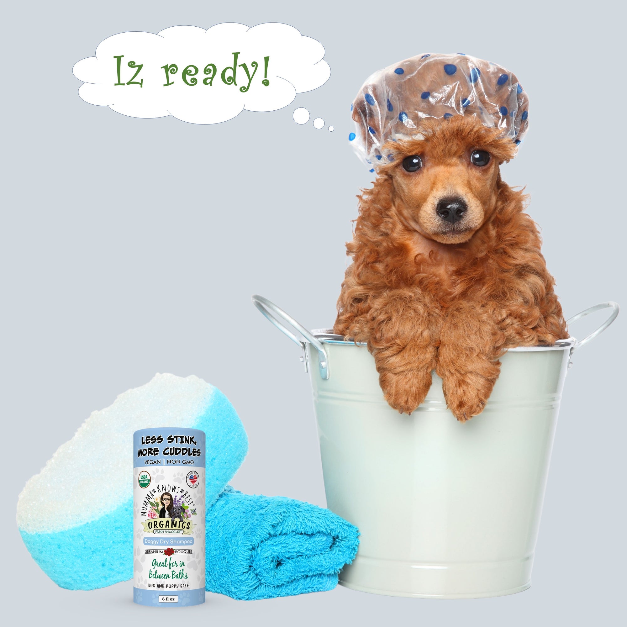 Dog ready for dry dog shampoo by toe beans_2