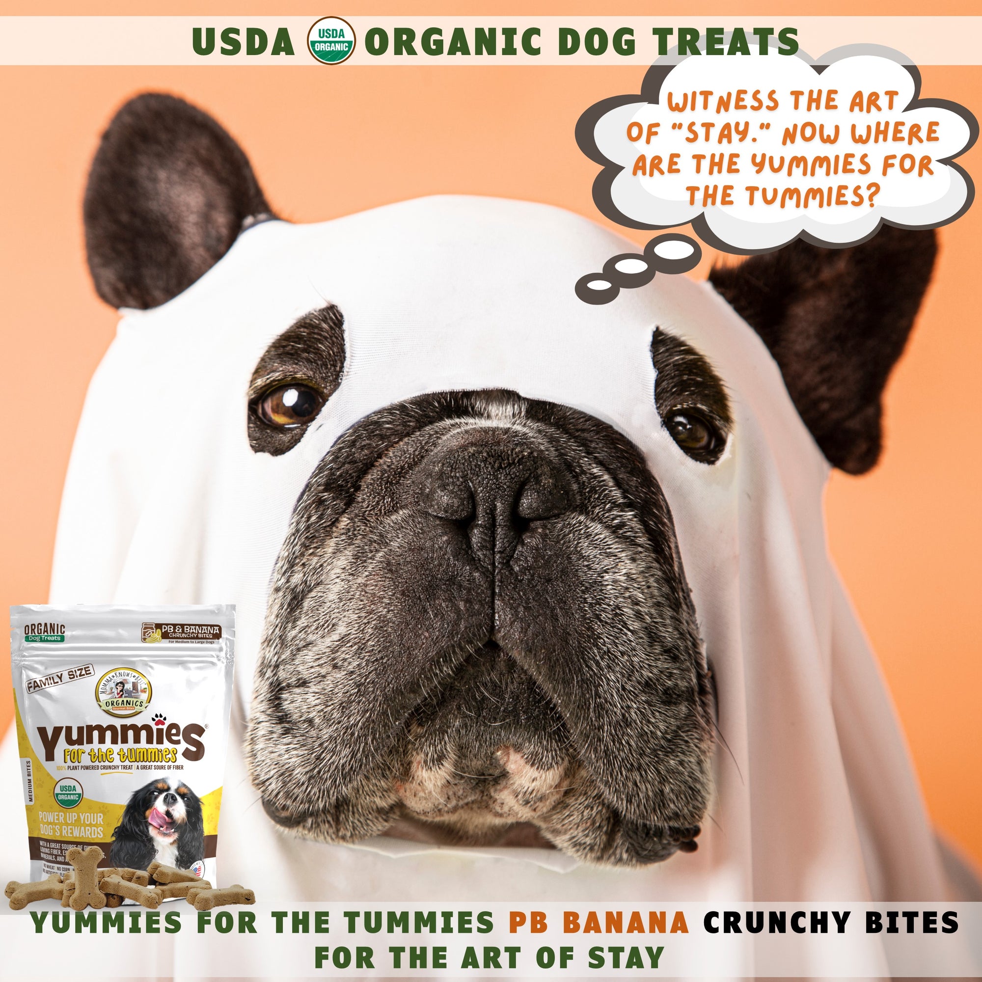 A dog wearing a costume next to a bag of healthy pb banana dog treats Yummies for the Tummies by Momma Knows Best