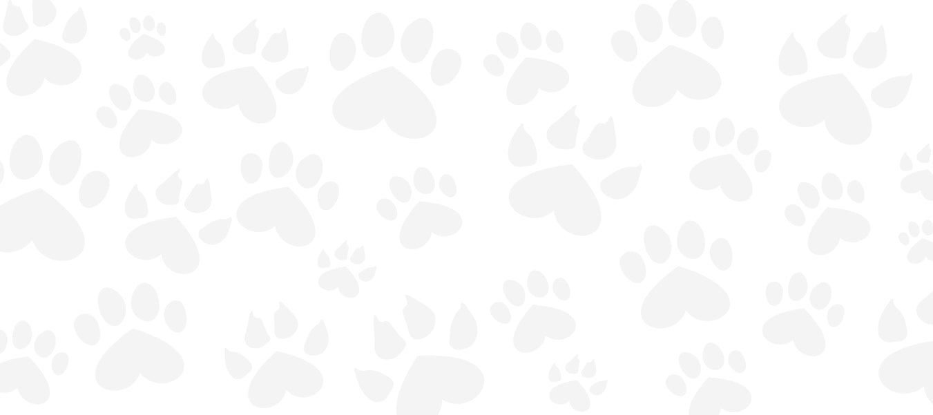 Light paw background by toe beans