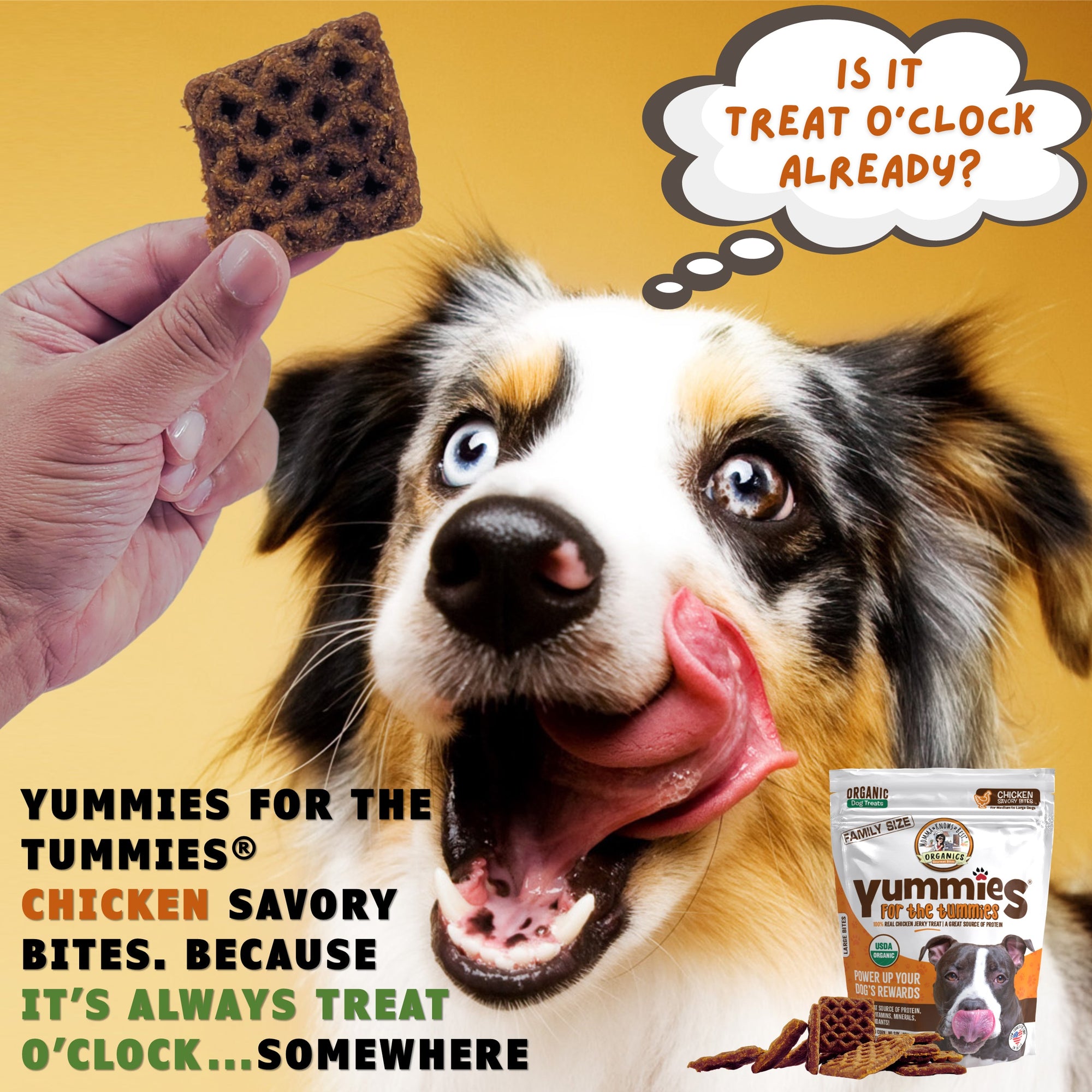 A dog licking its lips looking at a natural dog chicken jerky treat Yummies for the Tummies by Momma Knows Best