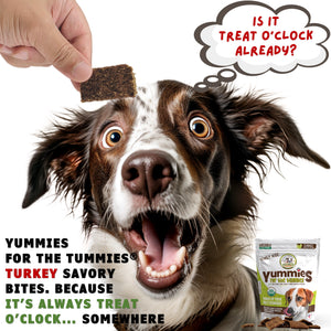 A dog with mouth open looking at a natural dog turkey jerky treat Yummies for the Tummies by Momma Knows Best