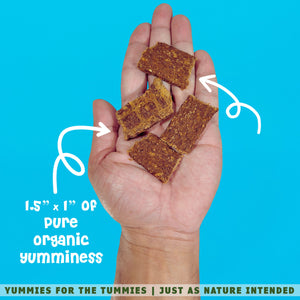 A hand holding two natural gourmet dog turkey treats Yummies for the Tummies by Momma Knows Best Organics