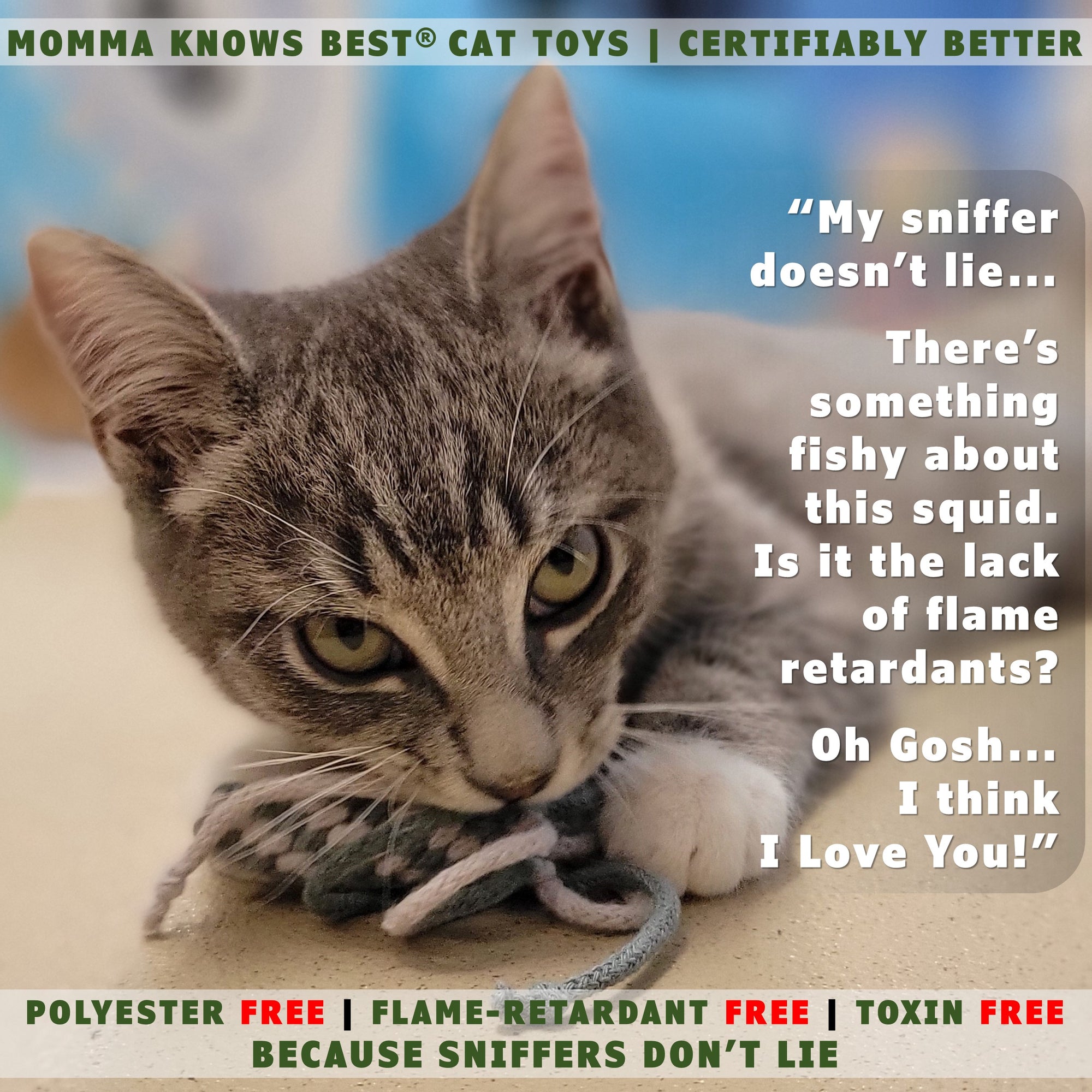 Non toxic cat toys by momma knows best