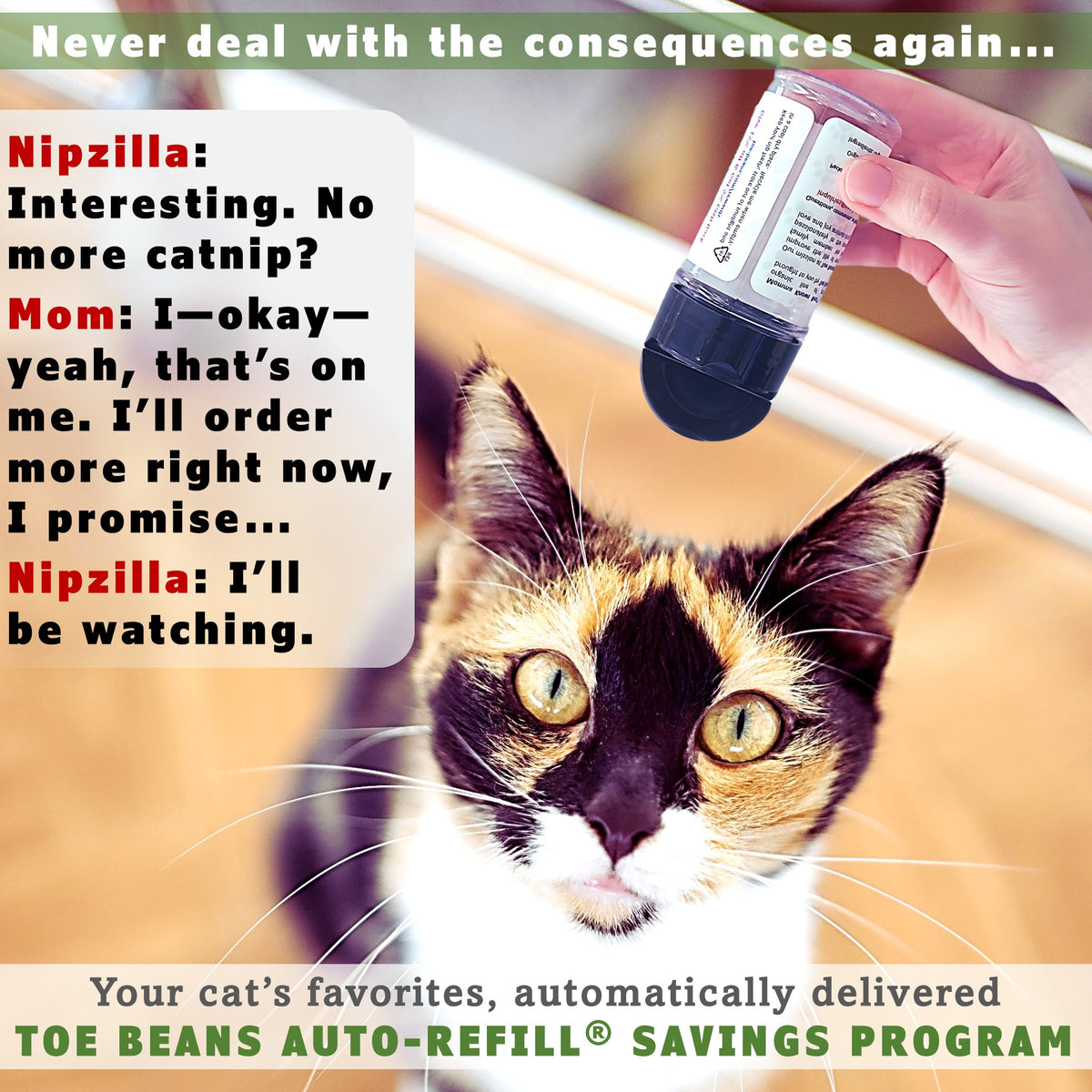 Organic Catnip Subscribe and Save by Momma Knows Best