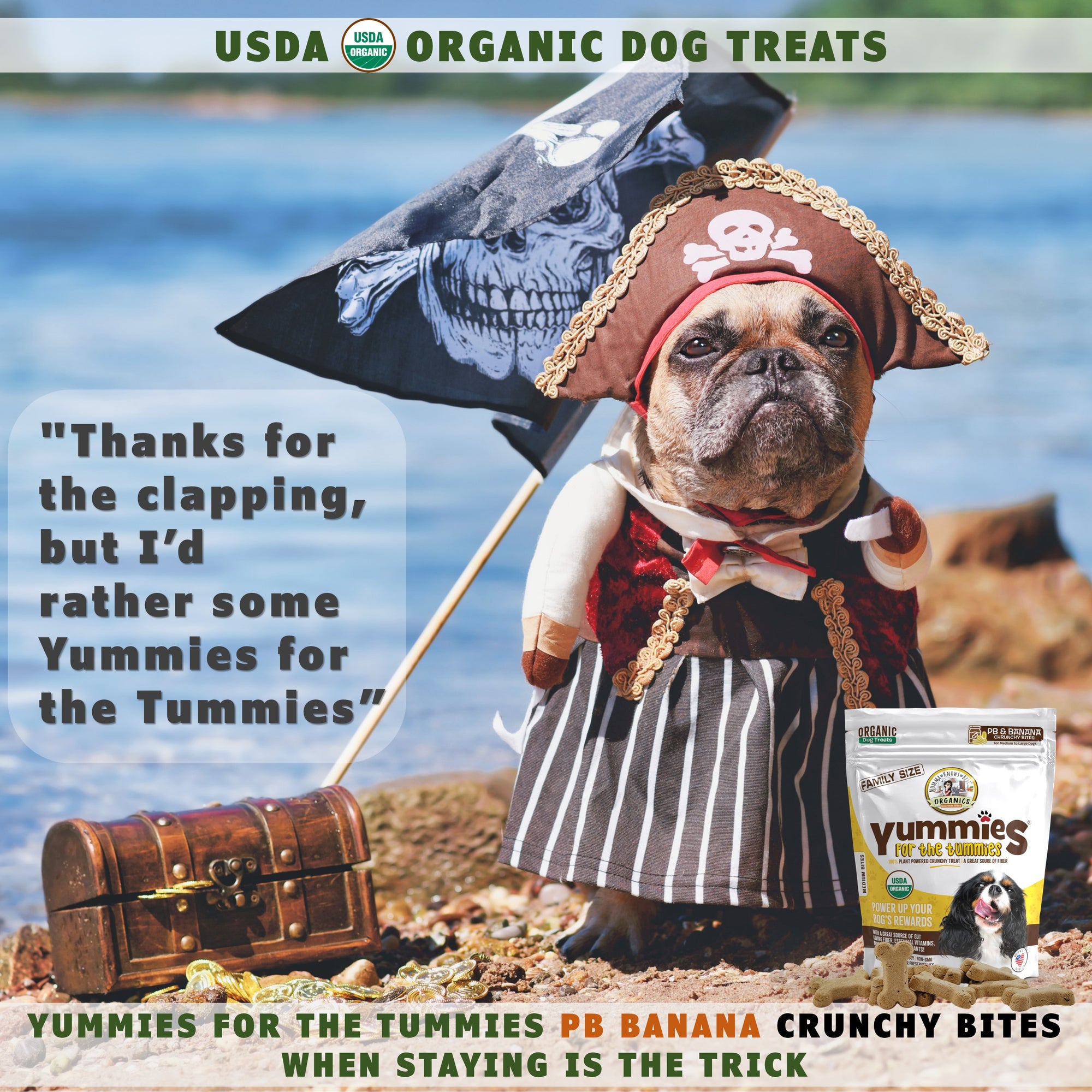 A dog wearing a pirate costume next to a small chest and a bag of organic PB & Banana dog treats for training Yummies for the Tummies by Momma Knows Best