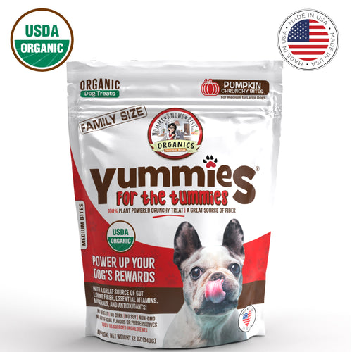 Organic Dog Treats | Pumpkin | Family Size | 12 oz