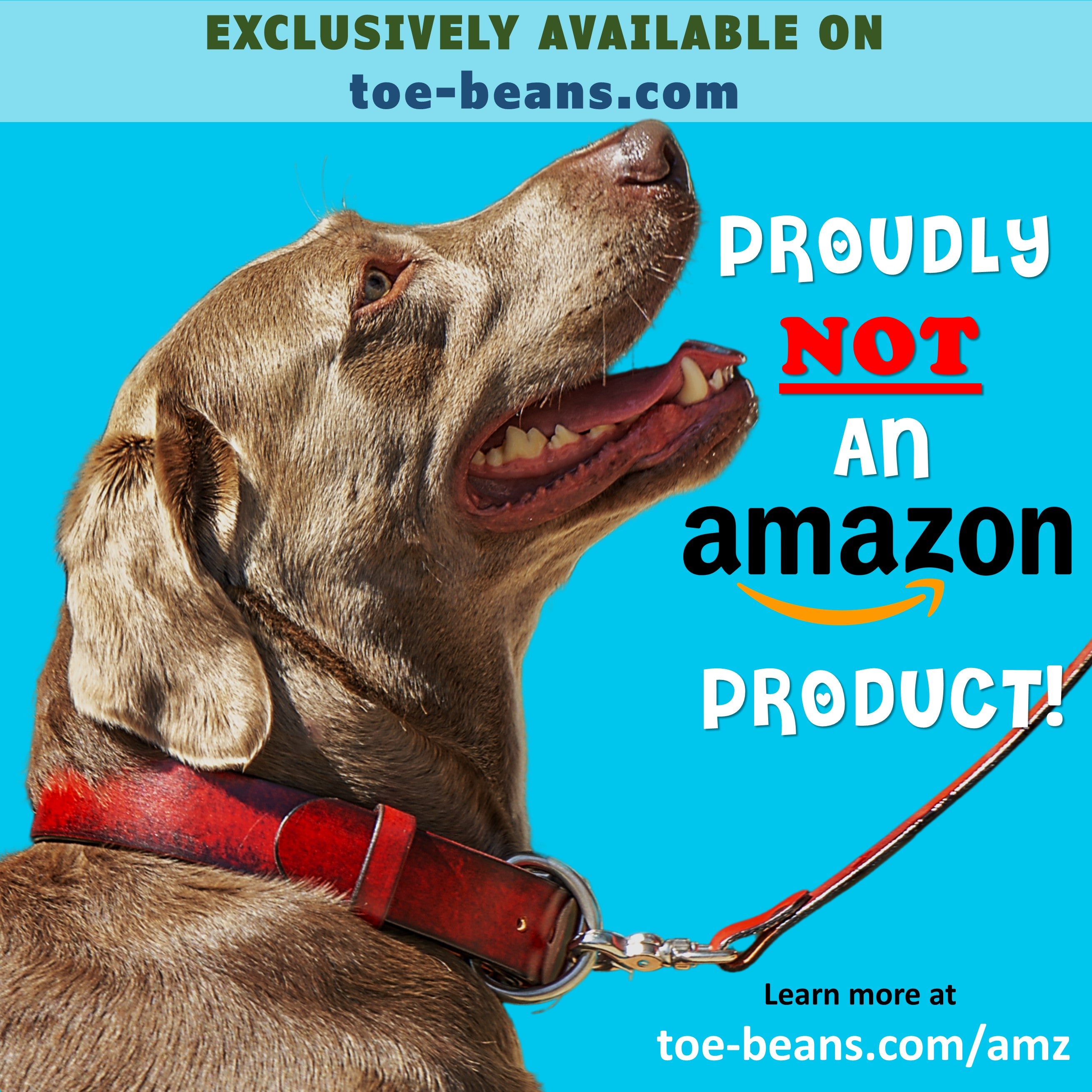 Best Handmade Leather Dog Collars And Leashes: Durable & Stylish Picks