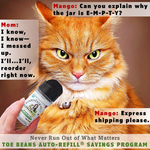 USDA Organic Catnip Subscribe and Save by Momma Knows Best