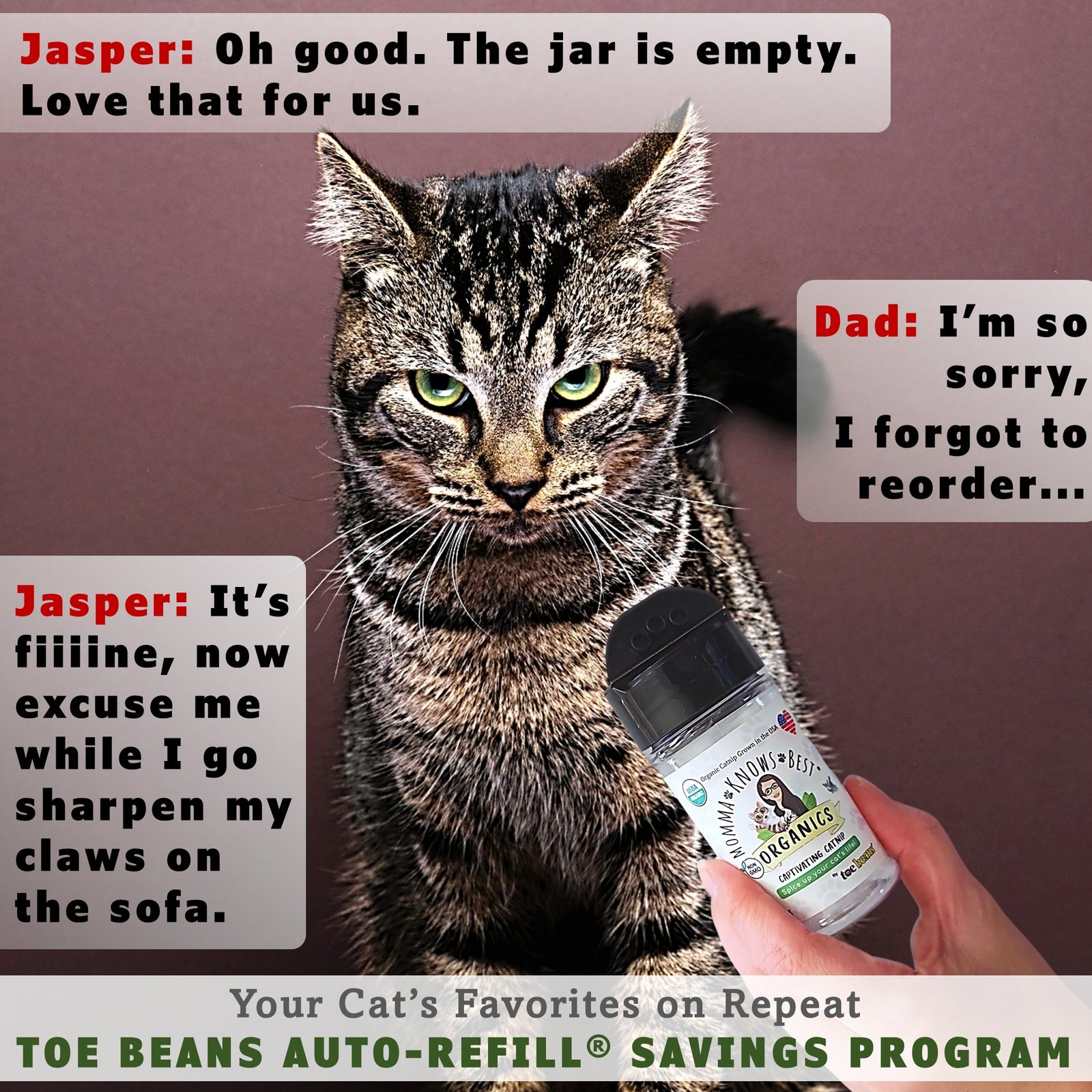 USDA Organic Catnip Subscribe and Save by toe beans