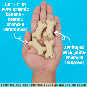 A hand holding a pile of pb banana dog biscuits