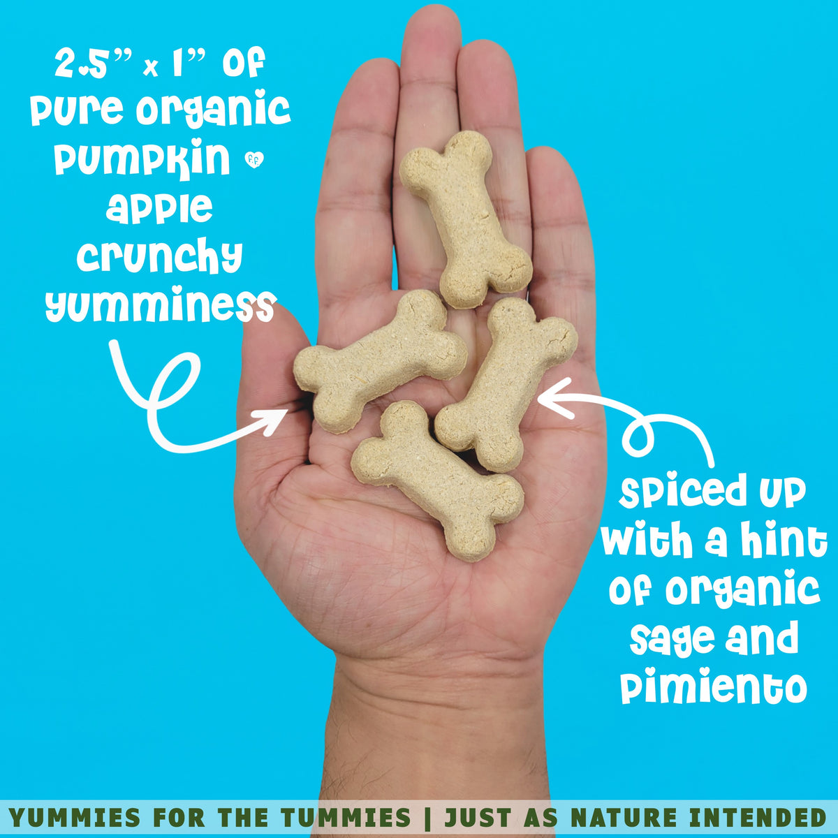 A hand holding a pile of pumpkin dog biscuits