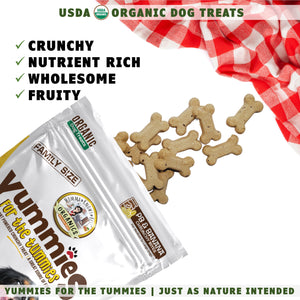 USDA organic Yummies for the Tummies PB banana dog treats for training coming out of a bag