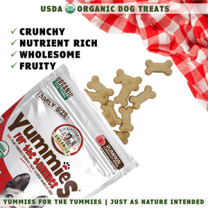 USDA organic Yummies for the Tummies pumpkin dog treats for training coming out of a bag