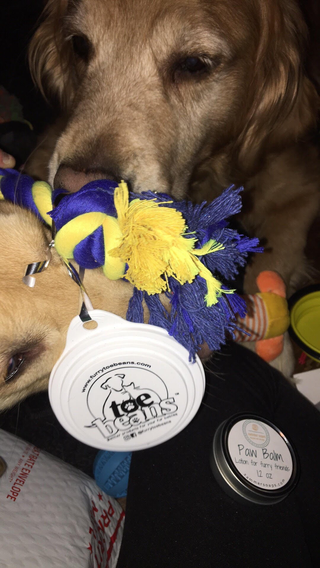 WINNER - Mandy's pup with prizes from toe beans