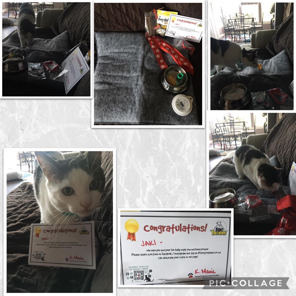 WINNER - collage of Jaki's cat with freebies from the toe beans giveaway