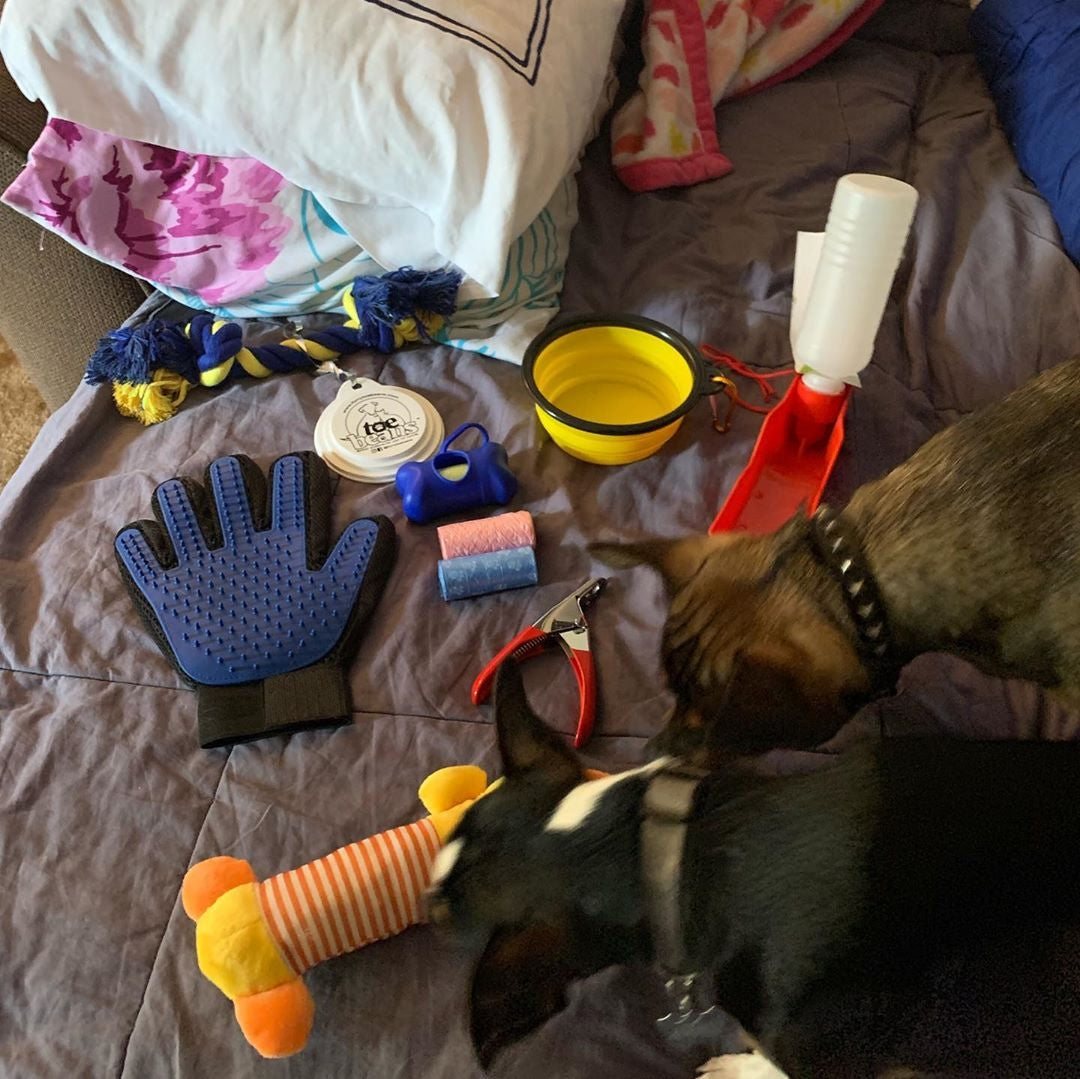 WINNER - two dogs with giveaway prizes