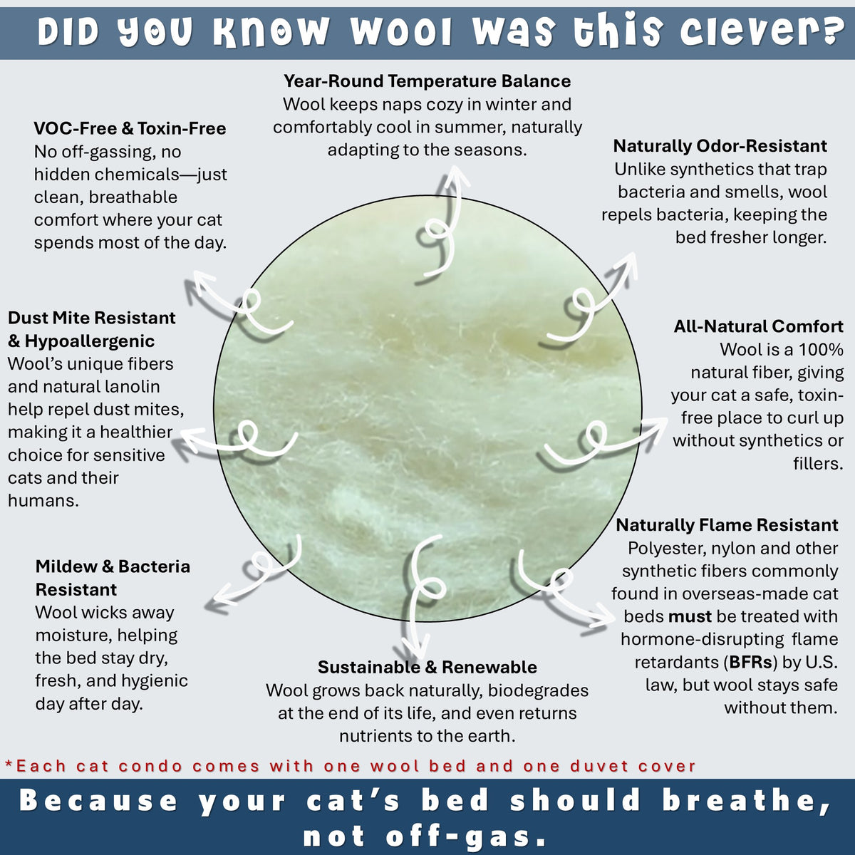 anatomy of wool cat beds us made by toe beans