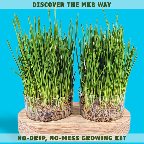USDA Organic Cat Grass Seeds Growing Kit | Grown in the USA - toe