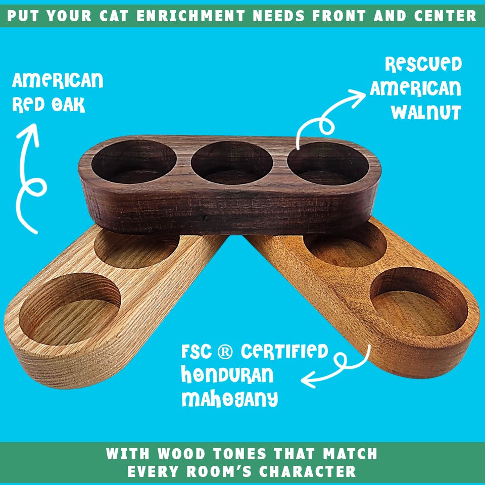 cat grass hardwood growing containers stacked ultimate kit by toe beans