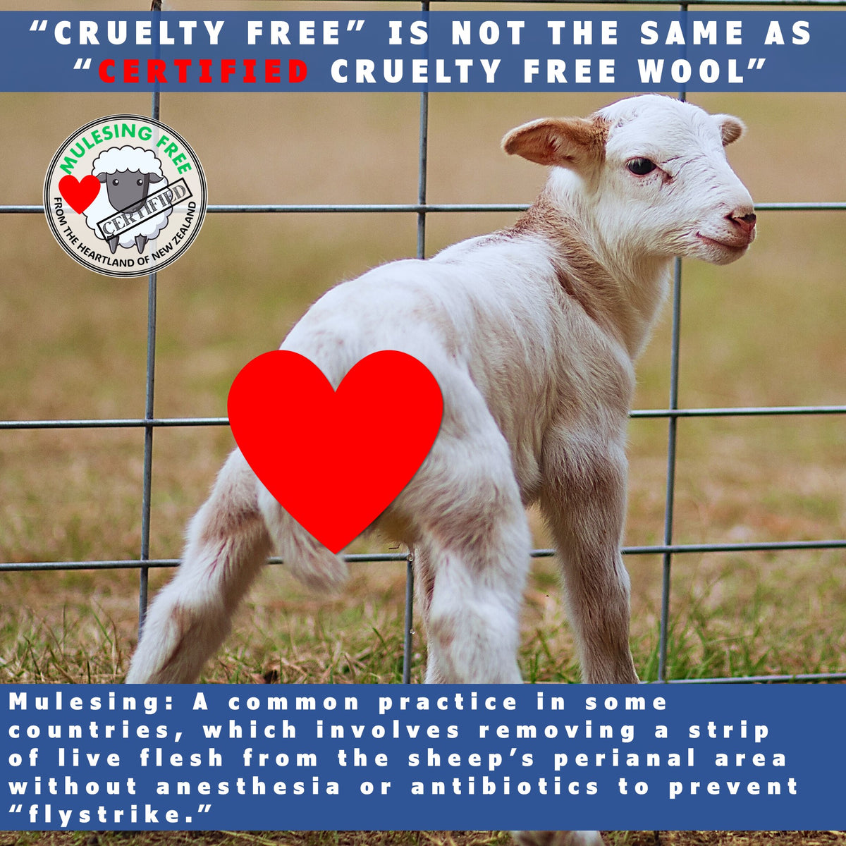 cruelty free wool cat beds made in the usa by toe beans