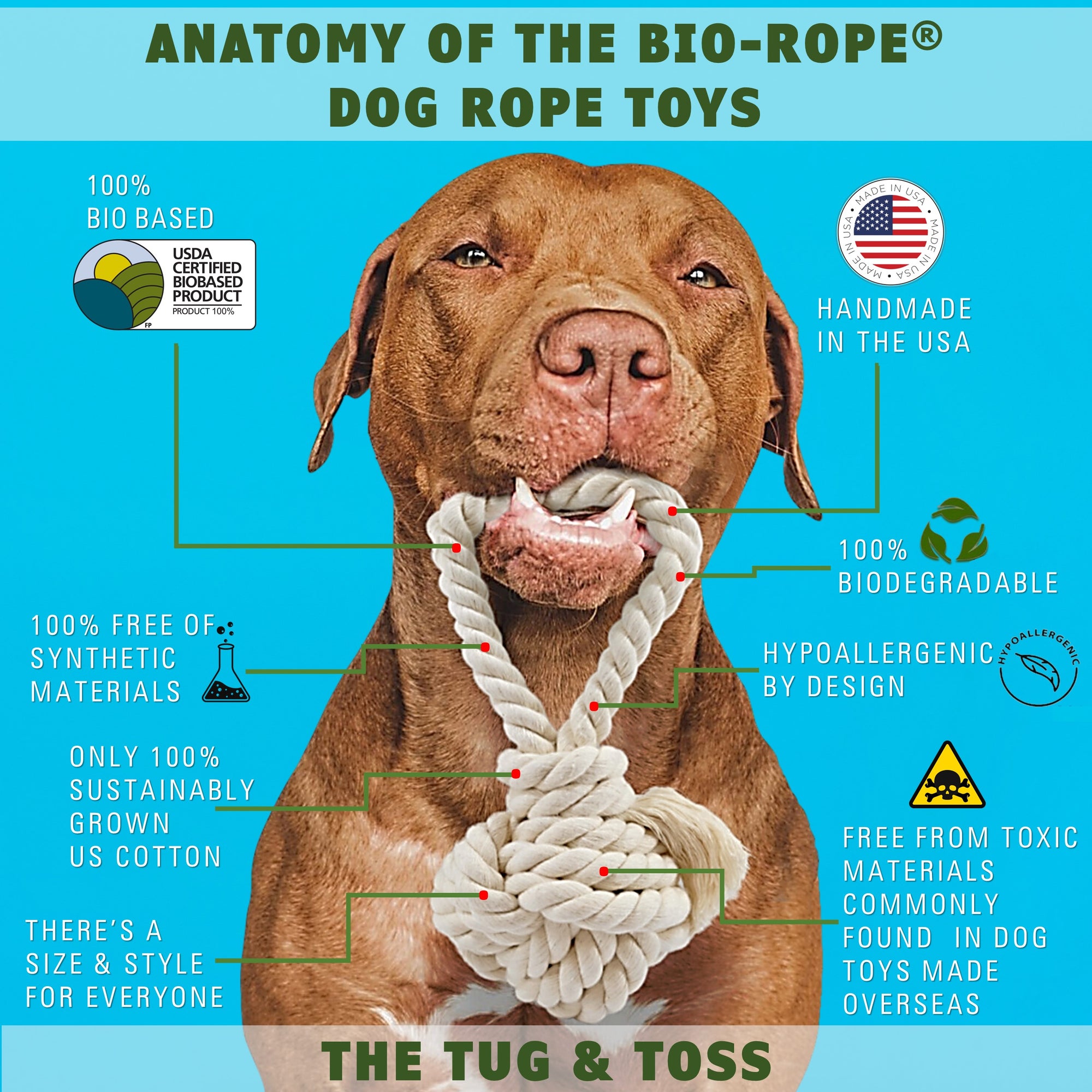 Dog with dog fetch toy in mouth showing features by earthcare