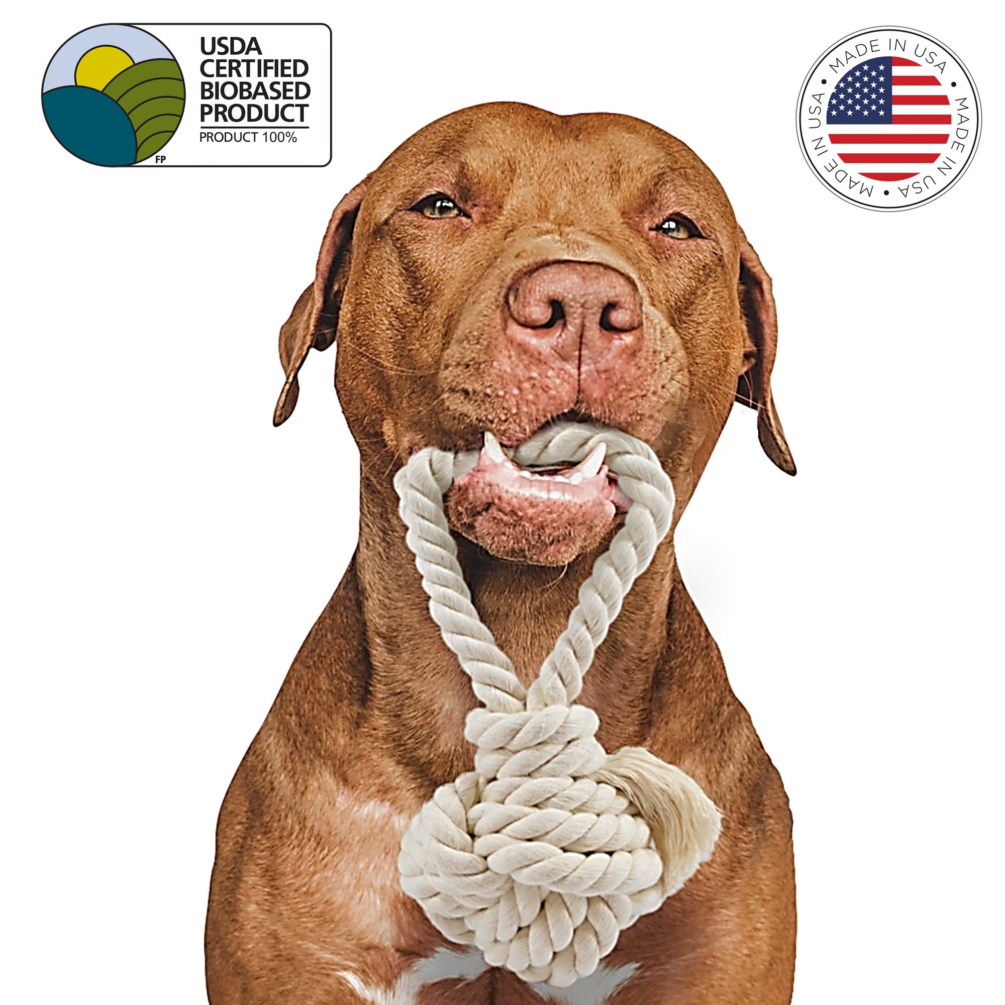 Dog-with-dog fetch toy in mouth by earthcare