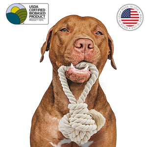 Dog-with-dog fetch toy in mouth by earthcare