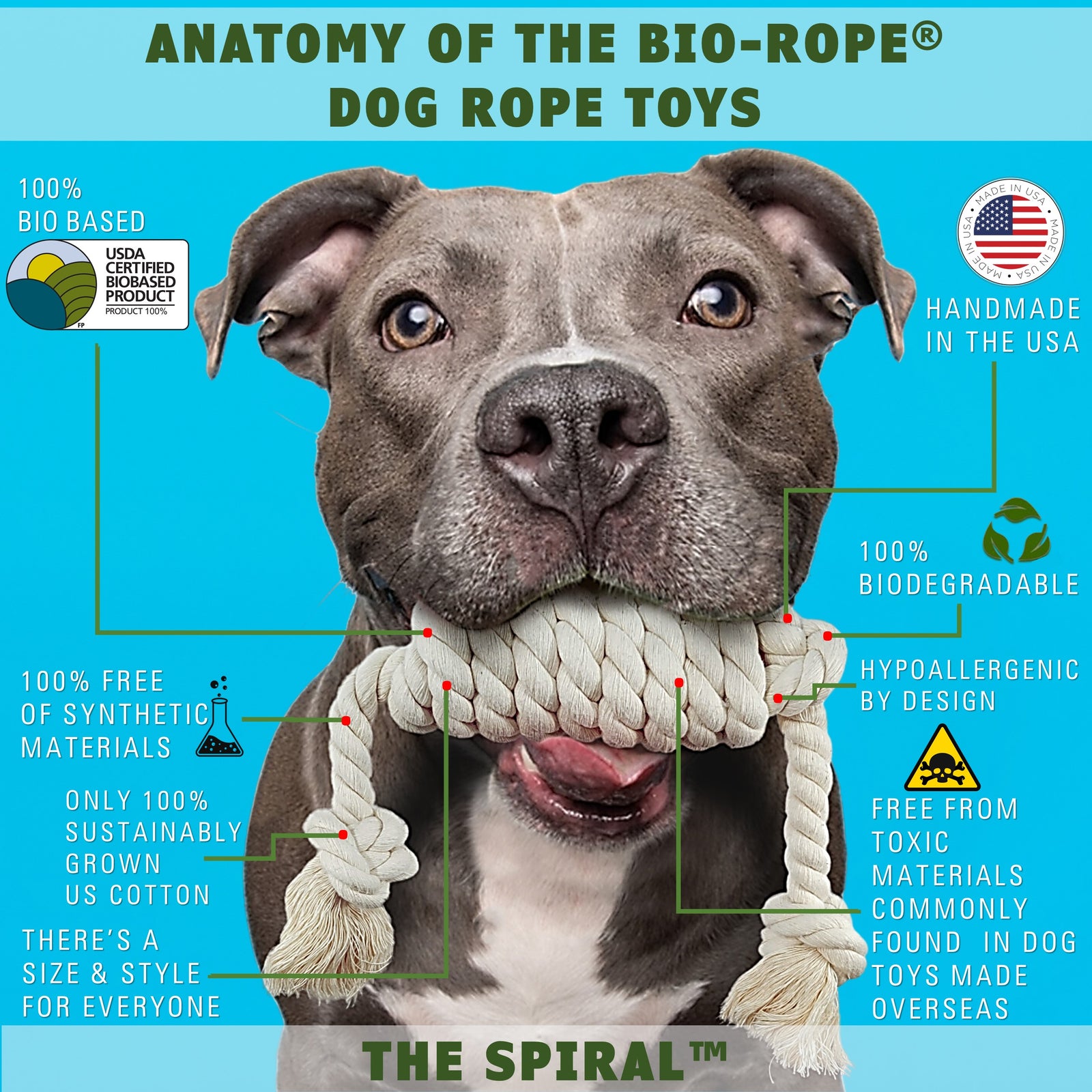 Dog fetch toy the spiral by EarthCare and toe beans