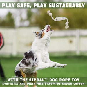 Dog jumping after the spiral dog fetch toy by earthcare