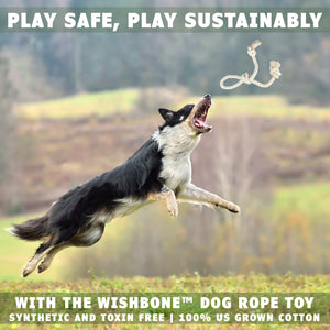 Dog jumping after the wishbone dog toy by earthcare