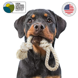 Dog with tug and pull 2k dog toy in mouth by earthcare