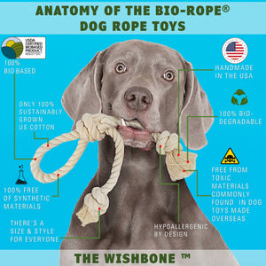 Dog with wishbone toy in mouth showing features by earthcare