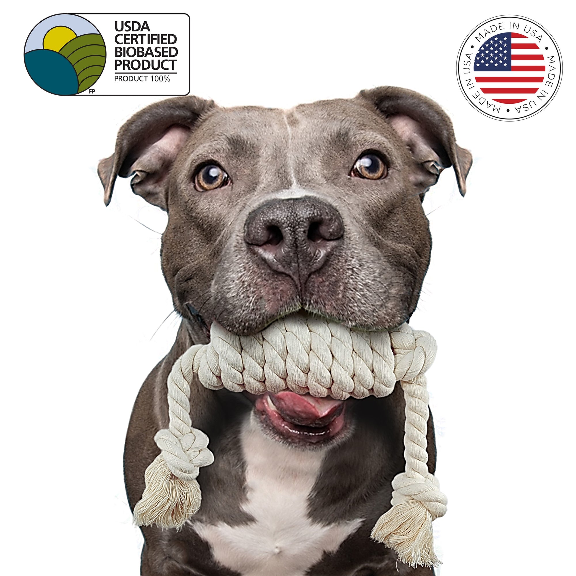 Dog with dog spiral fetch toy in mouth by earthcare