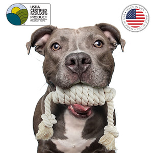 Dog with dog spiral fetch toy in mouth by earthcare