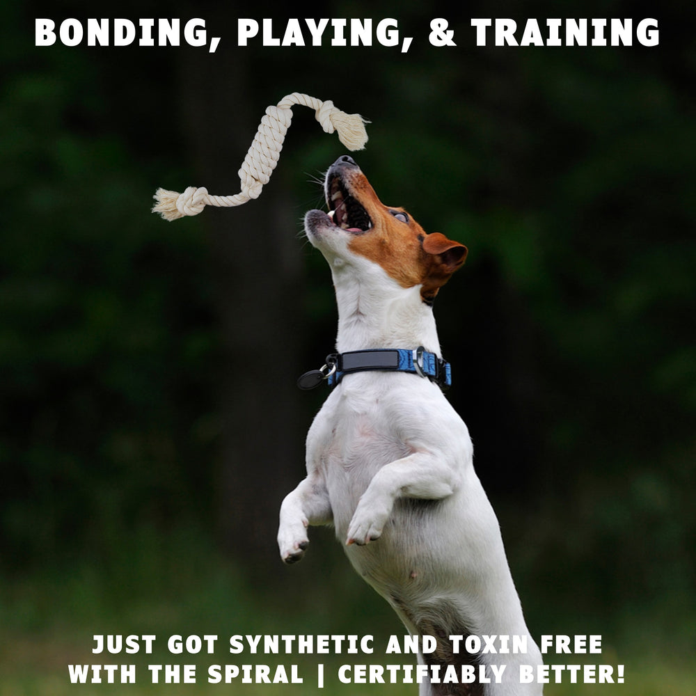 Toebeans Dogs Shop for Non-Toxic Toy Ropes for Dogs Online | Made in the USA - toe beans