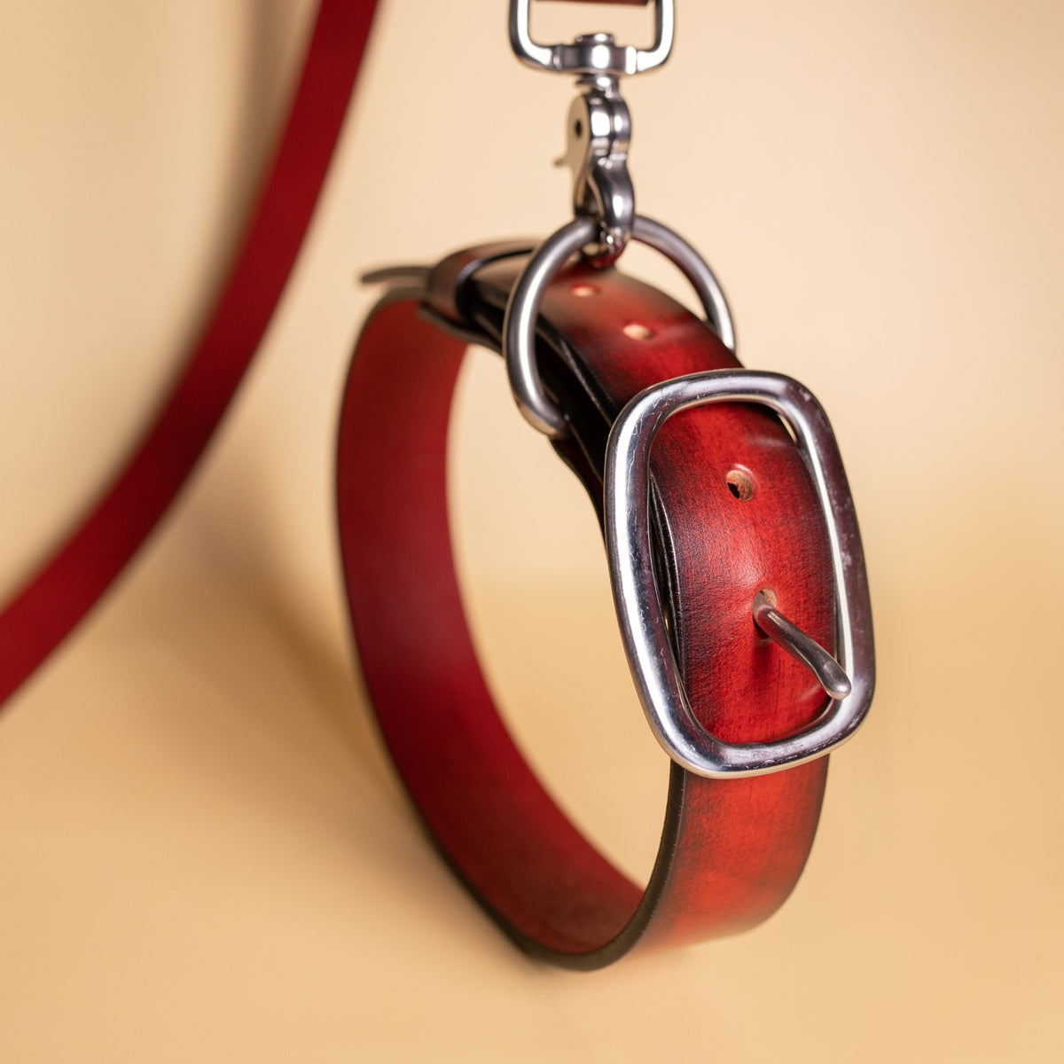 leather dog collar and leash by toe beans and American Artisan large