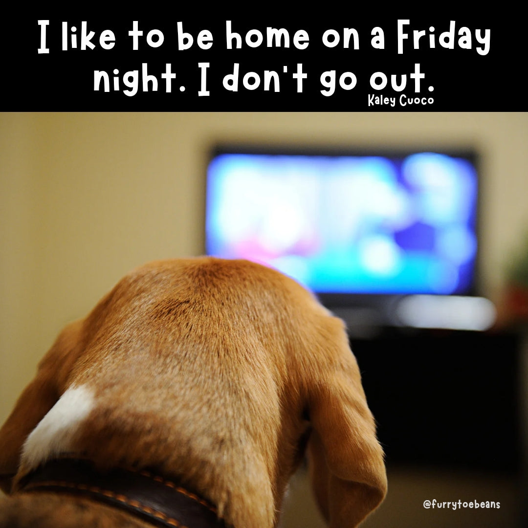 instagram dog meme by toe beans