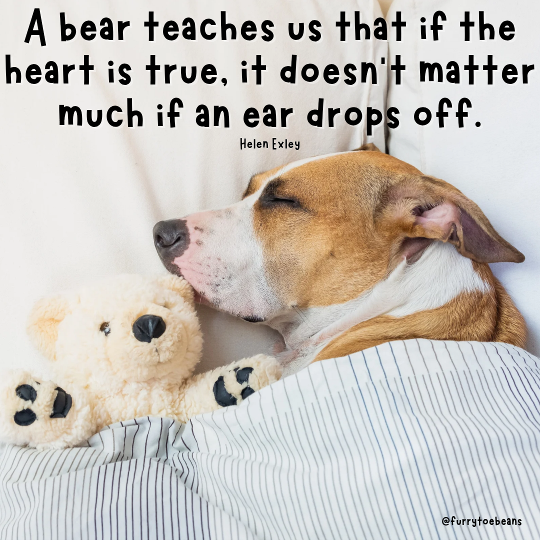 instagram dog meme by toe beans