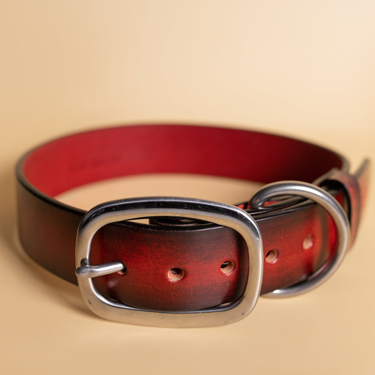 leather dog collar by toe beans and American Artisan large 