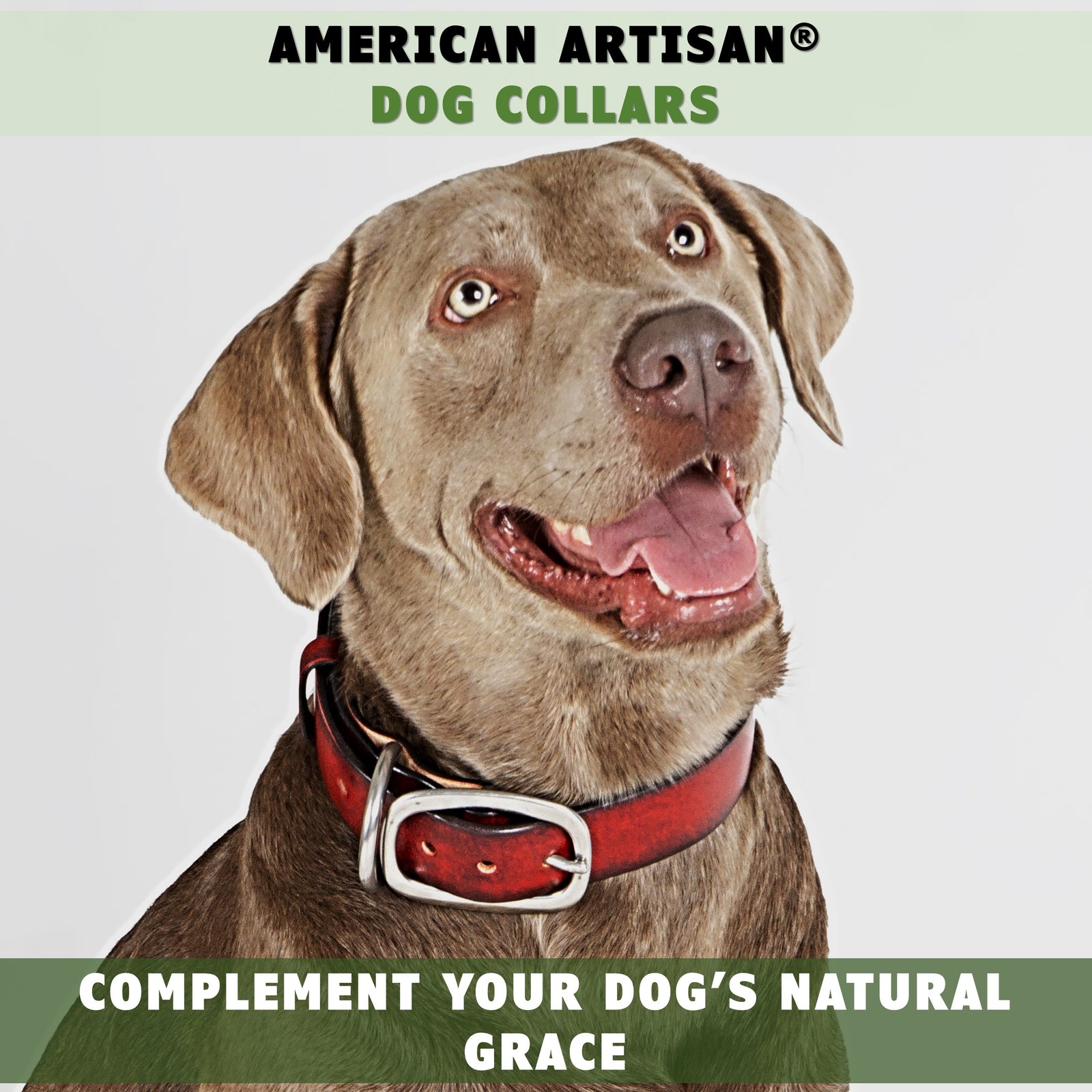 leather dog collar red toe beans 3