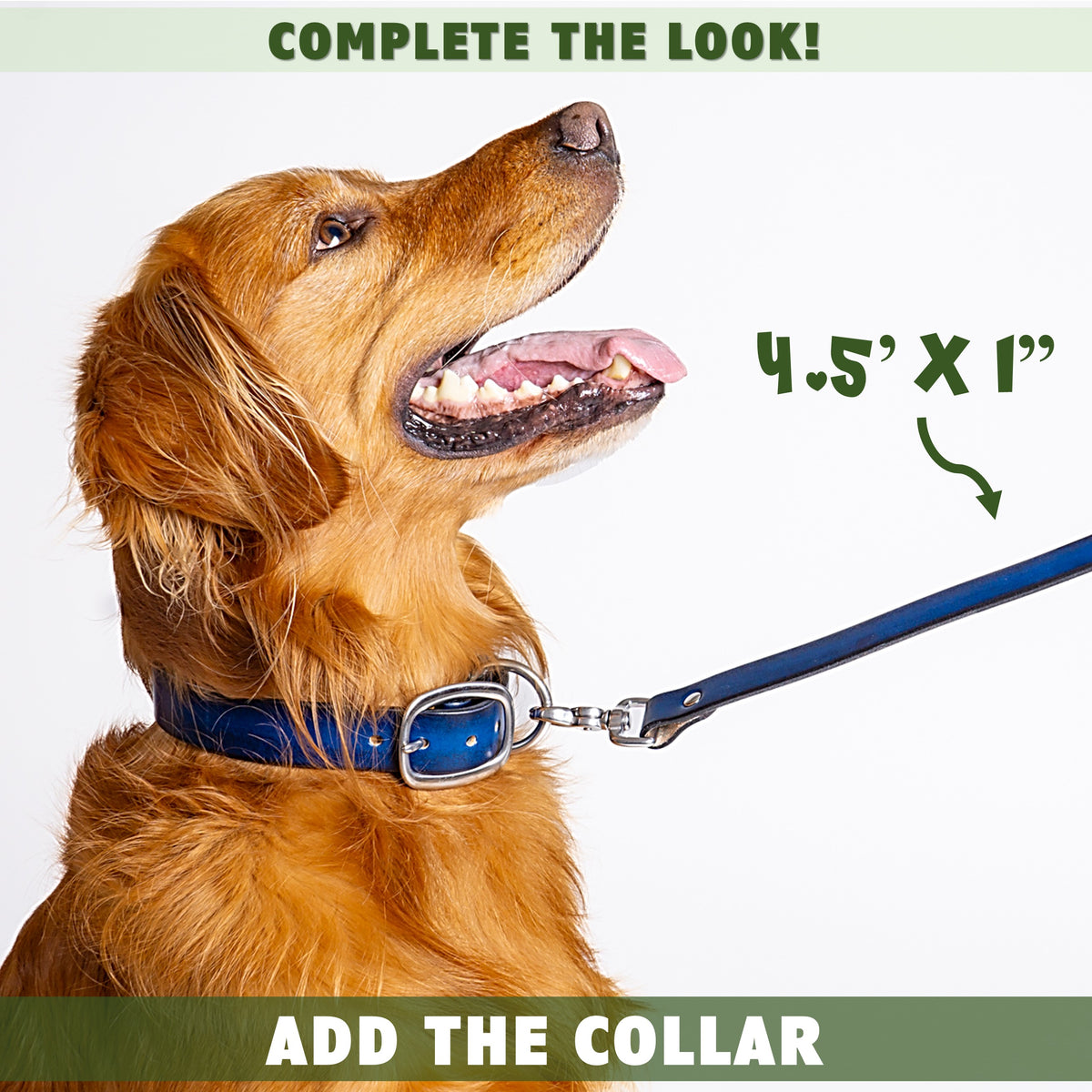 leather dog leash and collar by toe beans