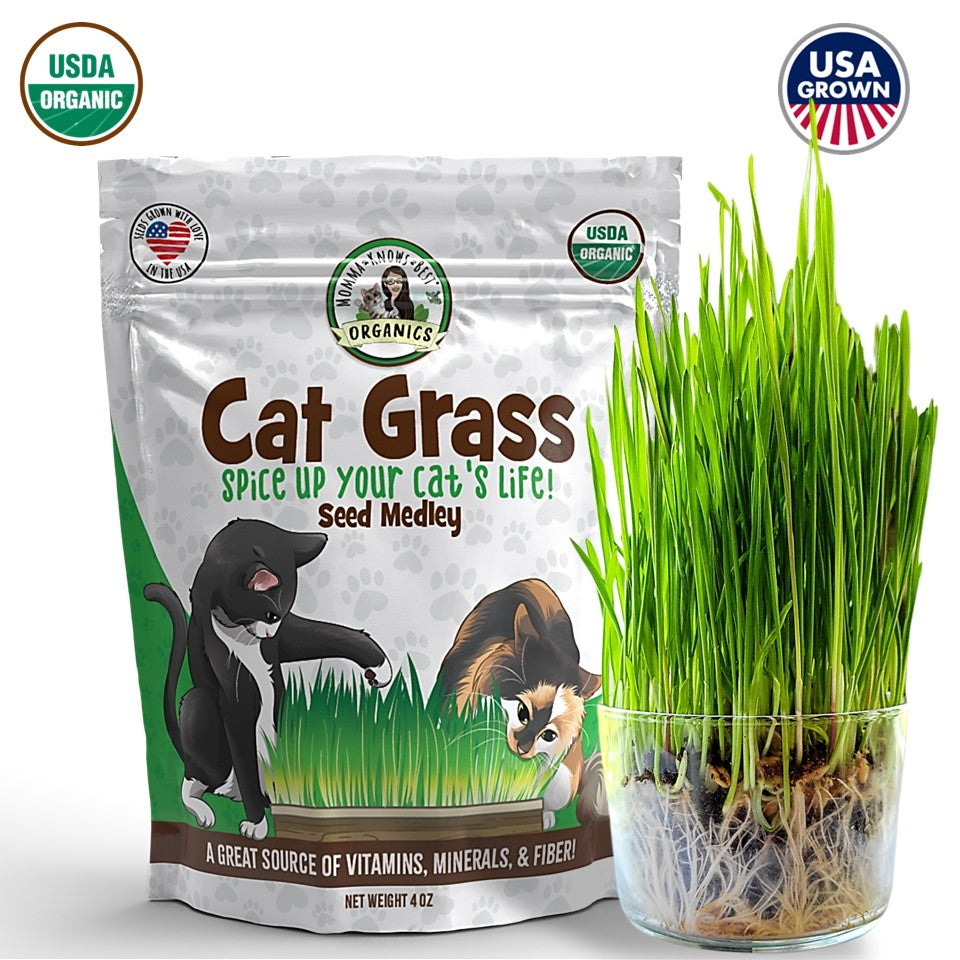 Trixie Cat Grass Pack with Tray 100 g Trixie Cat Grass Pack with Tray 100 g
