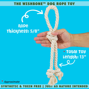 Hand holding the wishbone dog toy by EarthCare