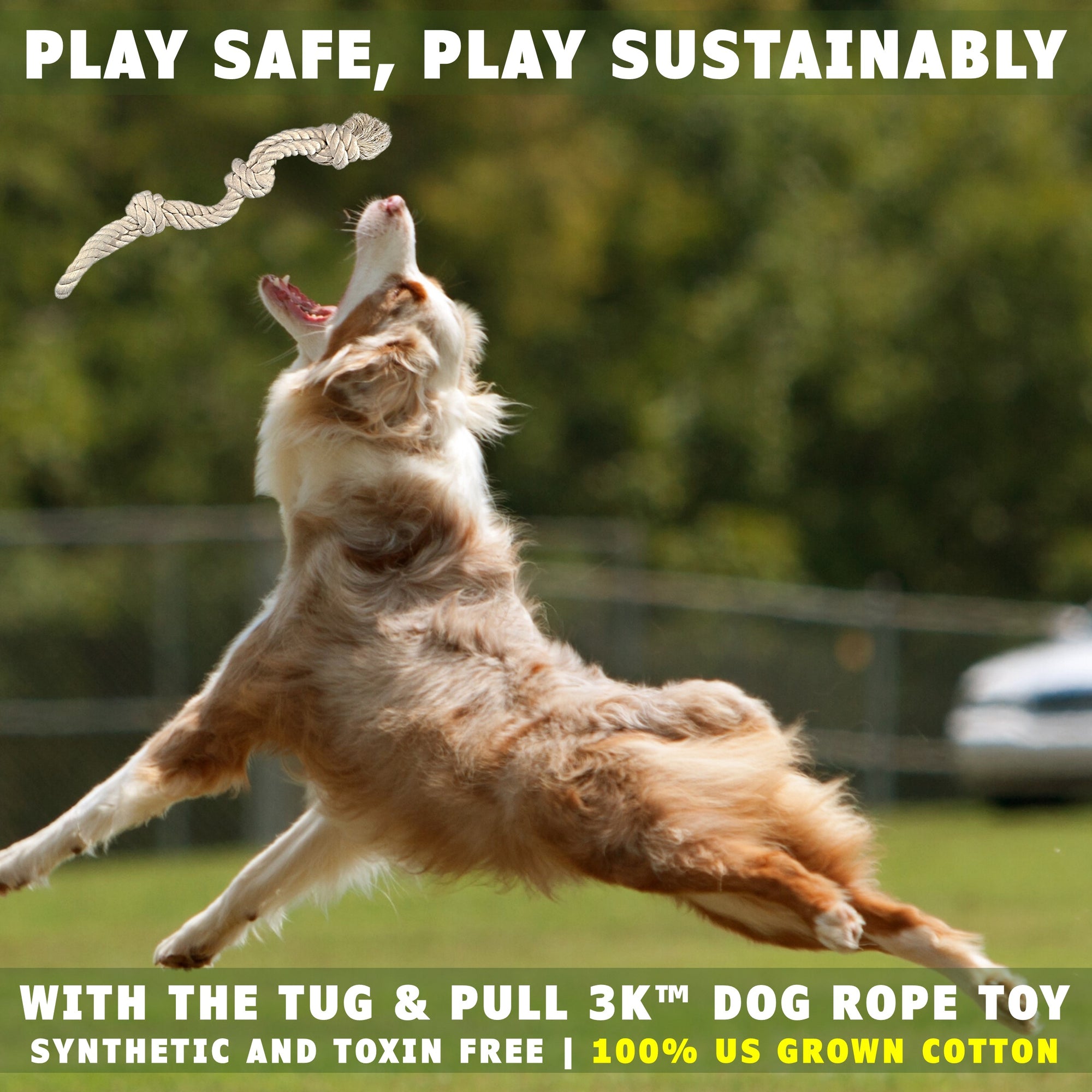 Dog jumping after the tug and pull 3k toy by earthcare